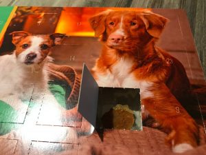 Hunde Adventskalender test