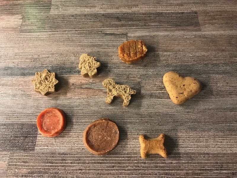 Hunde Adventskalender Test
