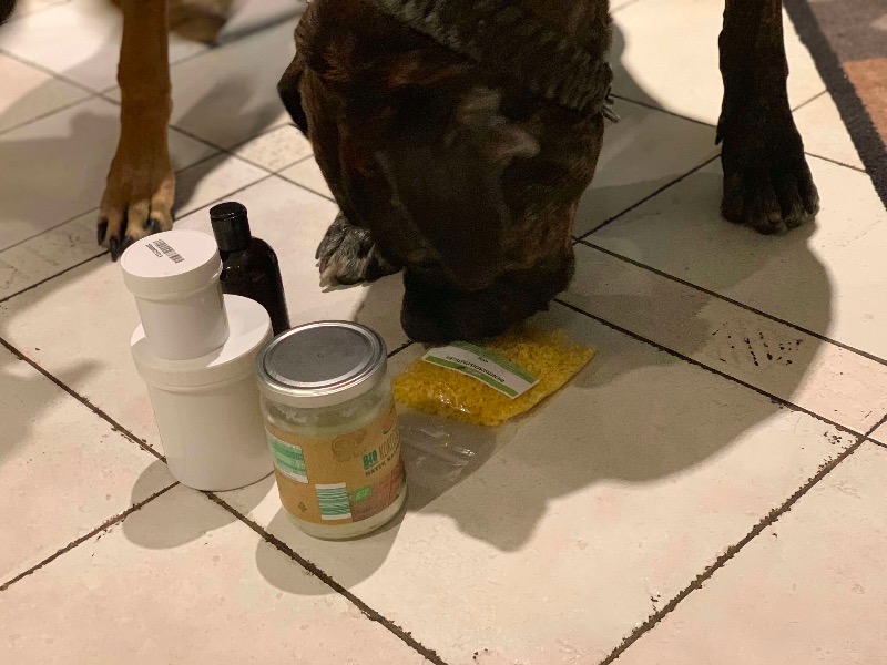 wie das riecht Hund um Fit